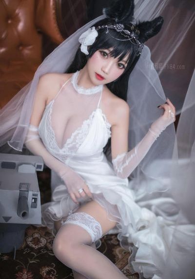 美女视频在线观看免费视频网软件