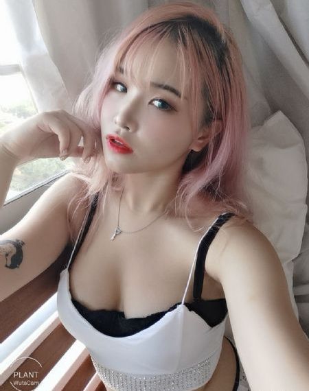 猎罪图鉴免费