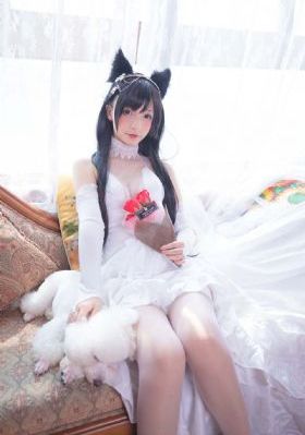 观影猫